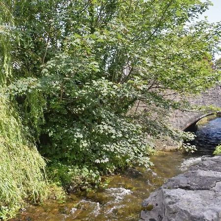 Willow Tree